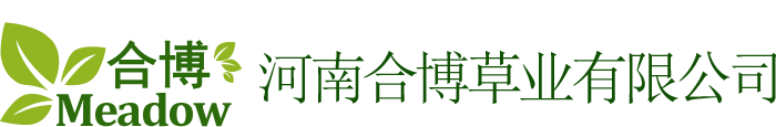 网站Logo